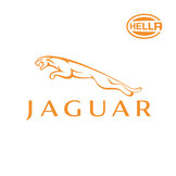 Jaguar  width=