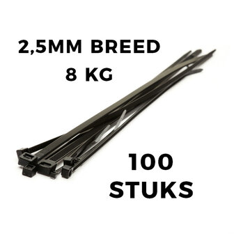 Cable Tie 100x2,5 100 pieces