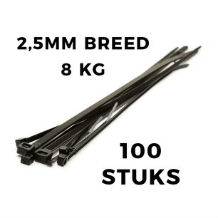 Cable Tie 100x2,5 100 pieces